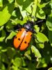 364243 – Photo : bernard evrad – Espagne